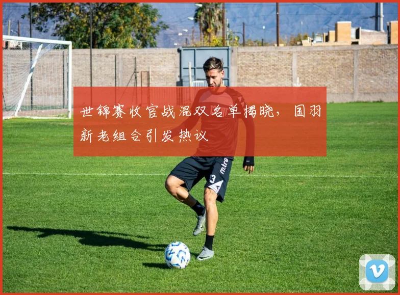 世锦赛收官战混双名单揭晓，国羽新老组合引发热议